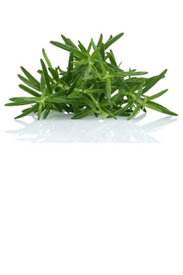 Rosemary
