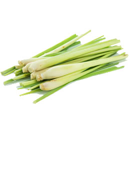 Lemon grass