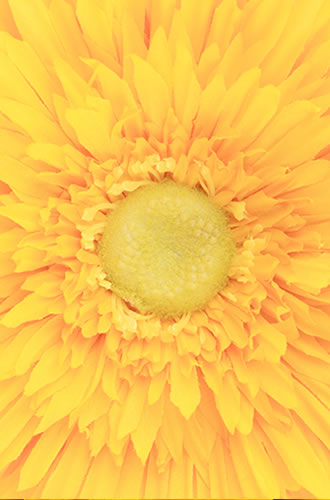 Make your life beautiful